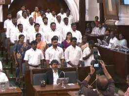 விஜய்க்கு வெற்றி