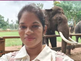 யானைகள் சண்டையில் உடல் நசுங்கி உயிரிழந்த சென்னை பெண்