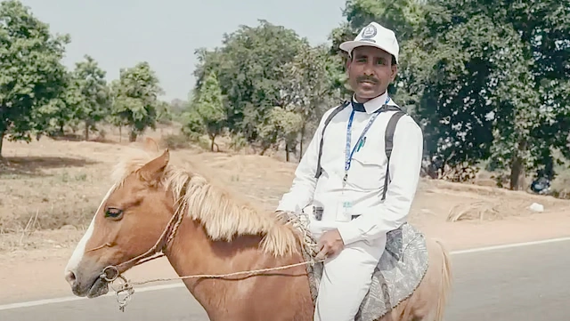 horse