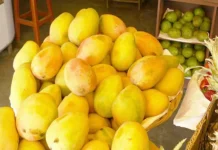அமெரிக்க சூப்பர் மார்கெட்டுகளில் இந்திய மாம்பழங்களுக்கு அதிக வரவேற்பு