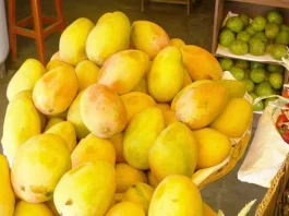 அமெரிக்க சூப்பர் மார்கெட்டுகளில் இந்திய மாம்பழங்களுக்கு அதிக வரவேற்பு