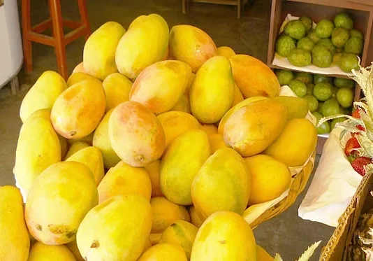 அமெரிக்க சூப்பர் மார்கெட்டுகளில் இந்திய மாம்பழங்களுக்கு அதிக வரவேற்பு