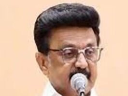 பீனிக்ஸ் பறவை போல திமுக எழுச்சி பெறும்: திமுக தலைவர் மு.க.ஸ்டாலின் பேச்சு