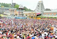 திருப்பதி கோயிலில் 2.45 லட்சம் பக்தர்கள் தரிசனம்: