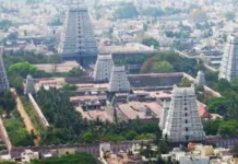 சித்ரா பவுர்ணமி திருவண்ணாமலையில் குவிந்த லட்சக்கணக்கான பக்தர்கள்