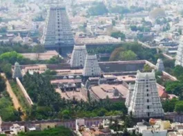சித்ரா பவுர்ணமி திருவண்ணாமலையில் குவிந்த லட்சக்கணக்கான பக்தர்கள்