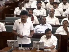 புதுமை ஆட்சி அல்ல புஷ்பா ஆட்சி உதயநிதி சரமாரி தாக்கு