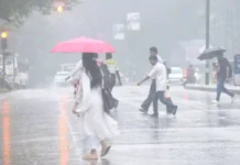 கர்நாடகத்தில் பருவ மழை