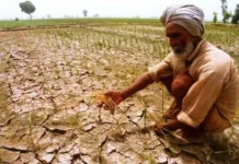 தென்மேற்கு பருவ மழை பொய்த்தது – கர்நாடகத்தில் வறட்சி