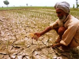 தென்மேற்கு பருவ மழை பொய்த்தது – கர்நாடகத்தில் வறட்சி