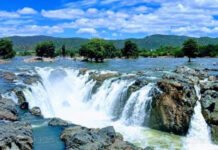 தொடரும் மழையால் ஒகேனக்கல் காவரி ஆற்றல் நீர்வரத்து அதிகரிப்பு