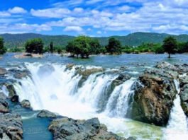 தொடரும் மழையால் ஒகேனக்கல் காவரி ஆற்றல் நீர்வரத்து அதிகரிப்பு