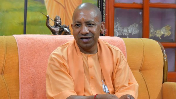 yogi