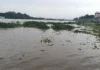 கர்நாடகத்தில் கனமழை – பல்வேறு மாவட்டங்களில் பள்ளி கல்லூரிகள் விடுமுறை