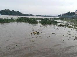 கர்நாடகத்தில் கனமழை – பல்வேறு மாவட்டங்களில் பள்ளி கல்லூரிகள் விடுமுறை
