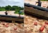 புரட்டியெடுக்கும் கனமழை: நீரில் அடித்துச் செல்லப்பட்ட 3000 சிலிண்டர்கள்