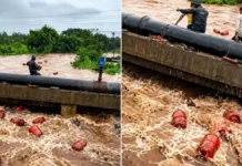 புரட்டியெடுக்கும் கனமழை: நீரில் அடித்துச் செல்லப்பட்ட 3000 சிலிண்டர்கள்
