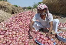 வெங்காயம் விலை குவிண்டால் ரூ.2,125-ஆக உயர்வு