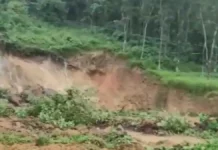 இடுக்கி மாவட்டத்தில் கனமழை காரணமாக நிலச்சரிவு