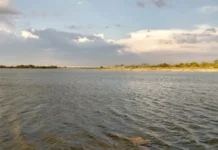 ஏரியில் 6 சடலங்கள் மீட்பு