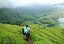 மலைப் பகுதிகளில் தொடரும் விபத்துக்கள்: கர்நாடக வனத்துறை அதிரடி உத்தரவு