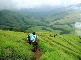 மலைப் பகுதிகளில் தொடரும் விபத்துக்கள்: கர்நாடக வனத்துறை அதிரடி உத்தரவு