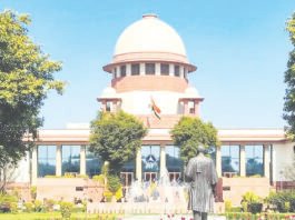 3,000 இந்திய சிலைகளை மீட்க மனு