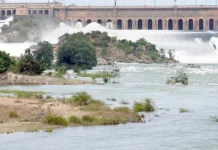 மழையால் அணைகளில் நீர்மட்டம் உயர்வு