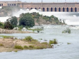 மழையால் அணைகளில் நீர்மட்டம் உயர்வு