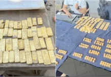 ரூ.98 கோடி தங்கப் புதையல் – கழிவுநீர் குழாய் மாற்ற பள்ளம் தோண்டியபோது கண்டெடுப்பு