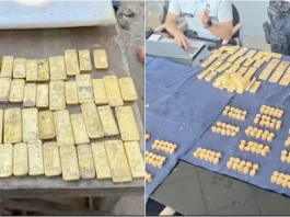 ரூ.98 கோடி தங்கப் புதையல் – கழிவுநீர் குழாய் மாற்ற பள்ளம் தோண்டியபோது கண்டெடுப்பு