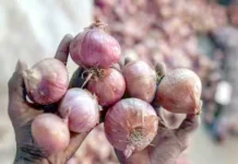 கையிருப்பில் உள்ள வெங்காயத்தை விற்பனைக்குக் கொண்டுவர அரசு முடிவு