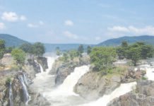 ஒகேனக்கல்லுக்குநீர்வரத்து 12,500 கனஅடியாக அதிகரிப்பு