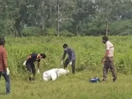 டில்லியில் சிறுமிக்கு பாலியல் வன்கொடுமை; கத்தியால் குத்திக் கொலை