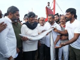 மங்களூரு துறைமுகத்துக்கு முதலமைச்சர் திடீர் விஜயம்