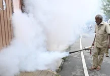 சென்னையில் டெங்கு தடுப்பில்3,597 பணியாளர்கள்