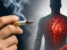புகைப்பிடிப்பால் நீரிழிவு நோயாளிகள் உயிருக்குப் பெரும் அபாயம்