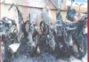 நிறுத்தப்பட்டிருந்த 5 மோட்டார் சைக்கிள்கள் தீக்கிரை