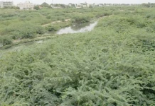 ரூ.3 லட்சம் மதிப்பூதியத்தை மறுத்த ஓய்வு நீதிபதி