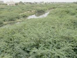 ரூ.3 லட்சம் மதிப்பூதியத்தை மறுத்த ஓய்வு நீதிபதி