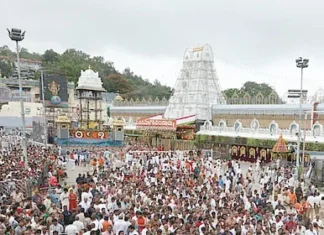 திருப்பதி பிரம்மோற்சவத்தில் ரூ.28.94 கோடி காணிக்கை