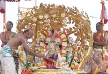 கற்பக விருட்ச வாகனத்தில் மலையப்பர் பவனி