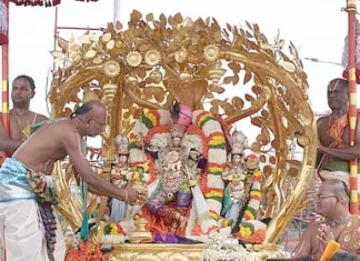 கற்பக விருட்ச வாகனத்தில் மலையப்பர் பவனி