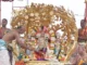 கற்பக விருட்ச வாகனத்தில் மலையப்பர் பவனி