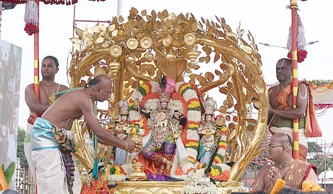 கற்பக விருட்ச வாகனத்தில் மலையப்பர் பவனி