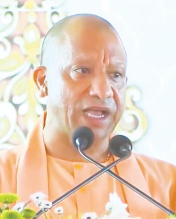 yogi