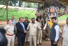 தசரா விழாவை நிறைவு செய்து காட்டுக்குத் திரும்பிய 13 யானைகள்