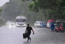 கனமழை: லாரி மீது மரம் விழுந்து – போக்குவரத்து பாதிப்பு