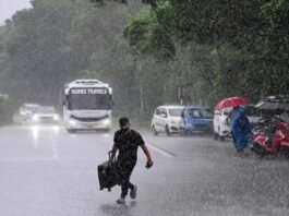 கனமழை: லாரி மீது மரம் விழுந்து – போக்குவரத்து பாதிப்பு