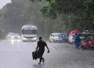 கனமழை: லாரி மீது மரம் விழுந்து – போக்குவரத்து பாதிப்பு